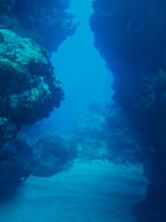 f0022222_021205.jpg