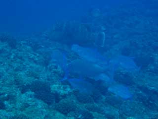 f0022222_0241568.jpg