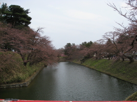 弘前公園の桜*2010.04.27_b0147224_18382064.jpg