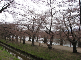 b0147224_18405530.jpg