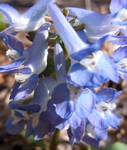 c0204725_12353783.jpg