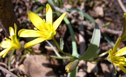 c0204725_1247138.jpg