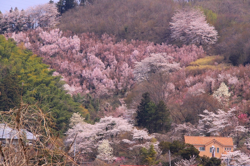f0229832_12512966.jpg