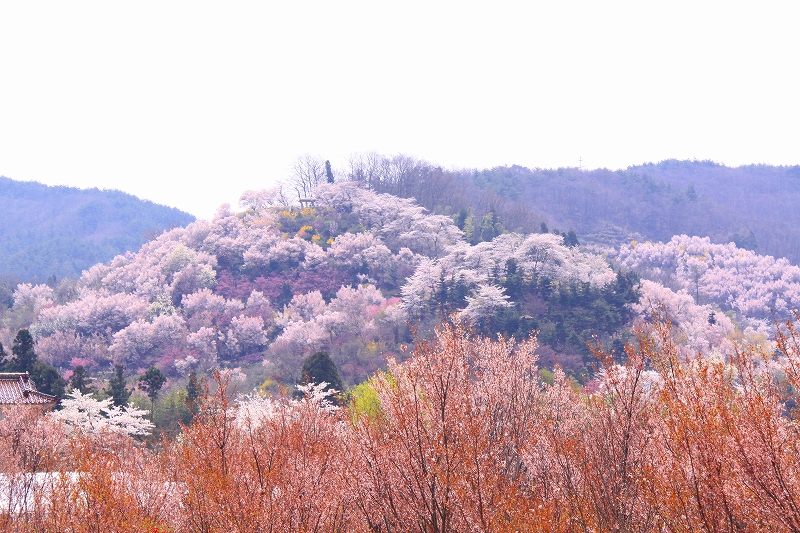 f0229832_1371424.jpg