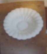 椎茸 _c0204333_204001.jpg