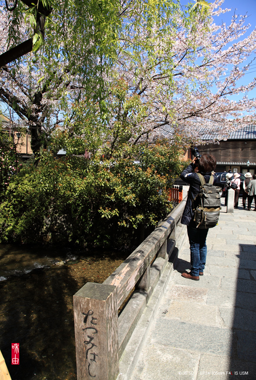 撮る人を撮る、京都の春・2010_c0187744_19175081.jpg