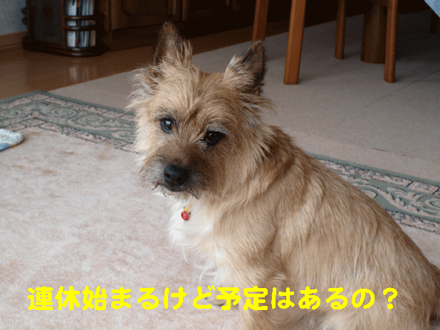 c0147548_2134358.gif