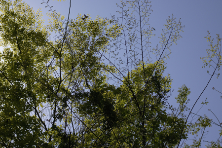 b0087456_10574933.jpg
