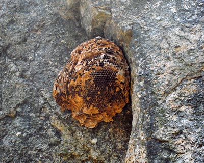 e0035757_1753104.jpg