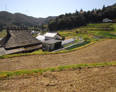 e0035757_1755068.jpg