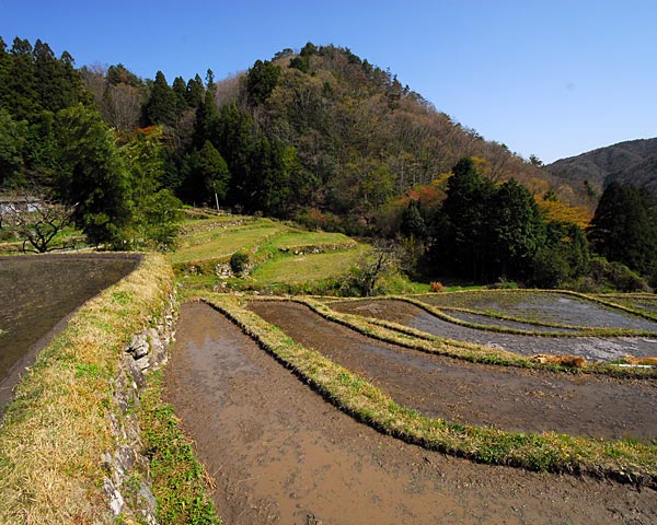 e0035757_175558100.jpg