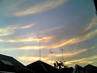 怒り心頭 ~税源移譲編~_f0232060_11295824.jpg