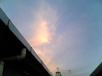怒り心頭 ~税源移譲編~_f0232060_1130918.jpg