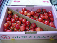 一日一納豆_f0232060_11343417.jpg