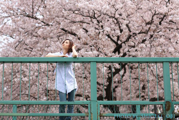 2010 桜ポートレート_e0192663_1339675.jpg