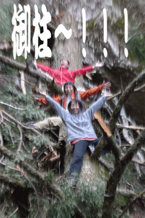 e0010166_22503874.gif
