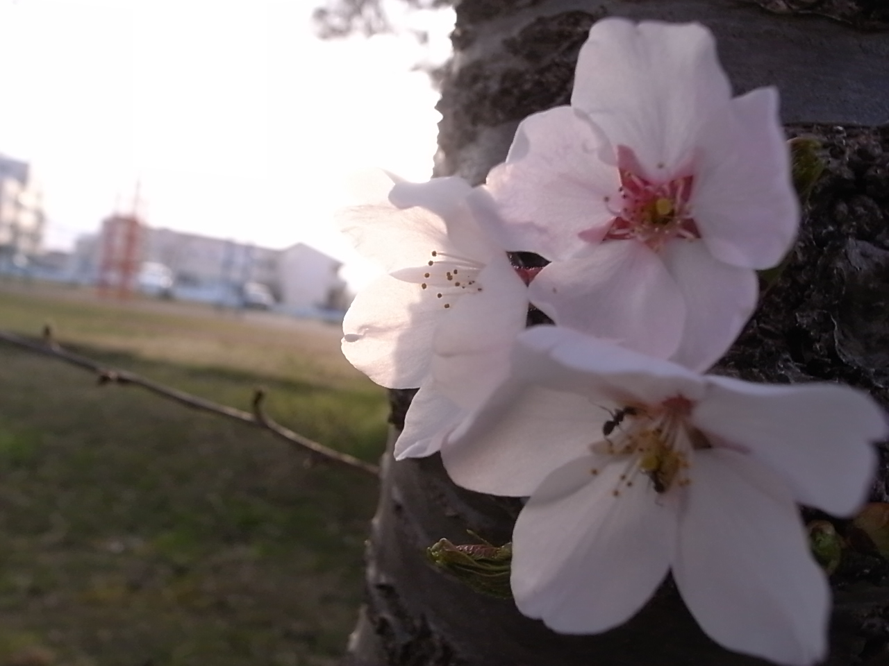 f0238767_7553883.jpg