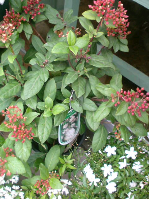 f0220768_2381715.jpg