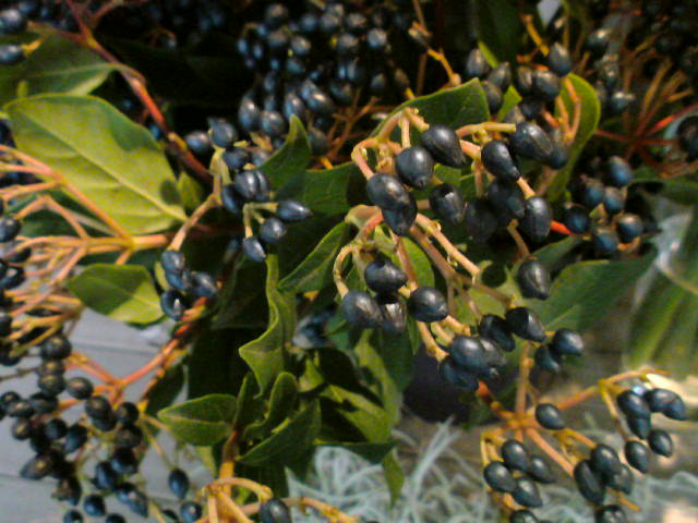 f0220768_2381769.jpg