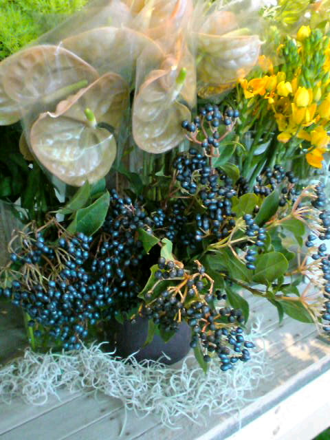 f0220768_2381779.jpg
