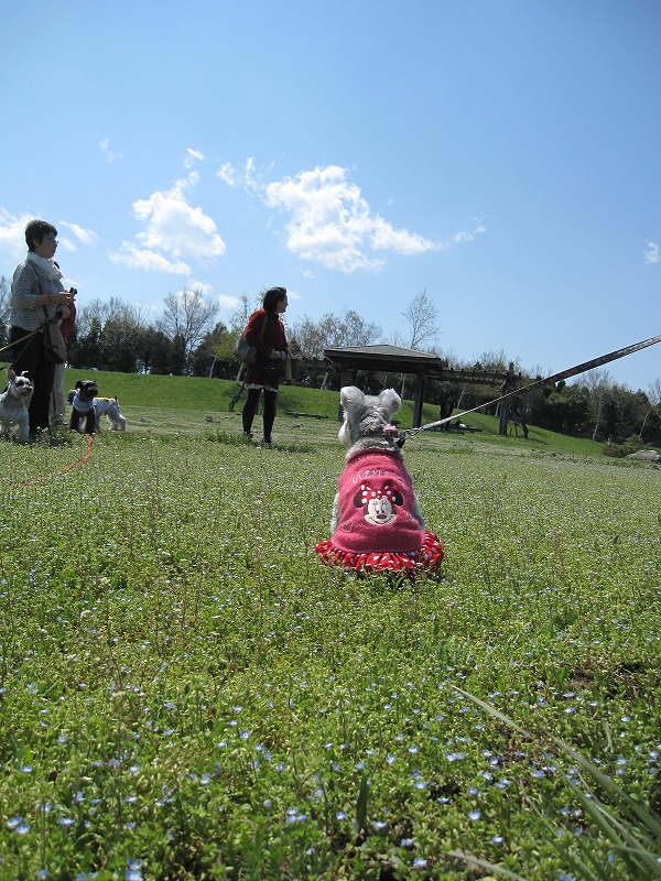 2010/04/25（日）　集合！②_a0104569_16234625.jpg