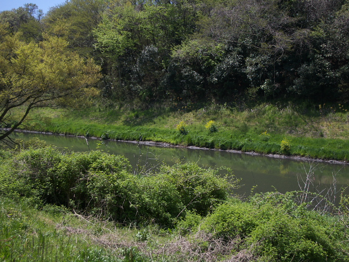 c0168669_1905275.jpg