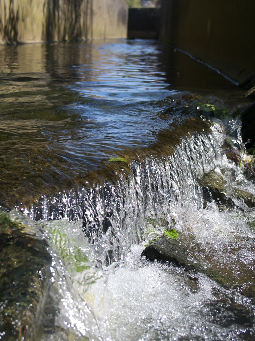 c0168669_1911433.jpg