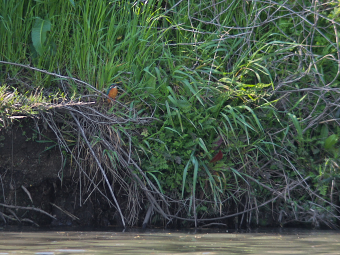 c0168669_1921683.jpg