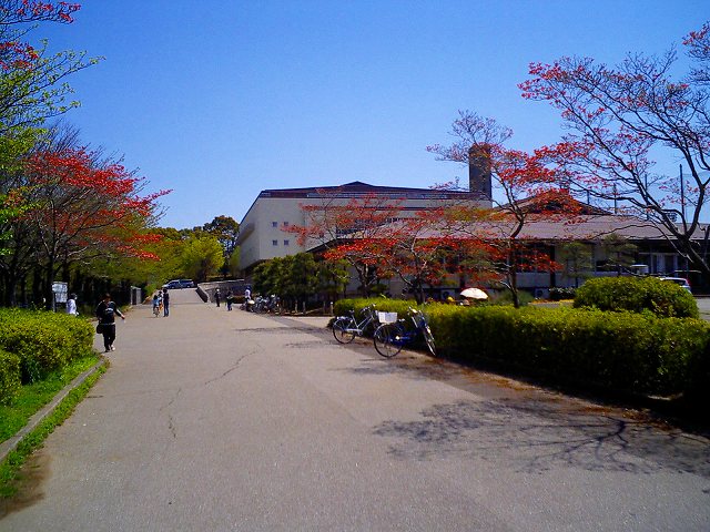 b0155973_13182818.jpg