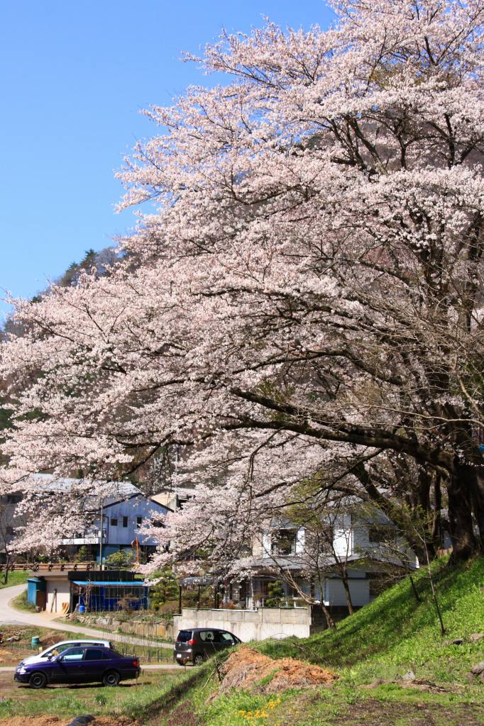 ※ 鹿教湯温泉小春日和_e0149577_23373794.jpg