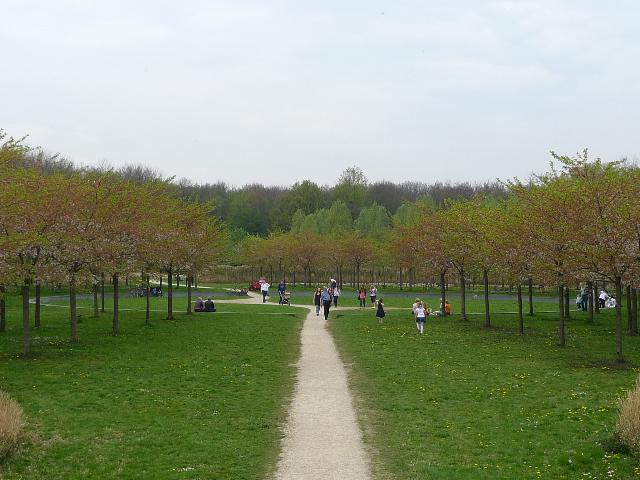 c0197980_1812871.jpg