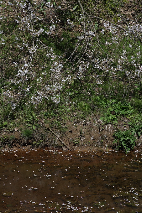 e0165983_23202620.jpg