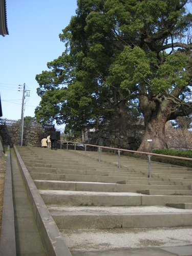 c0013687_12273844.jpg