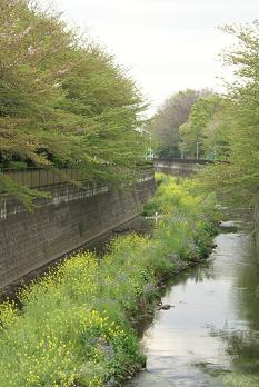 祖師谷公園_a0091891_18391137.jpg