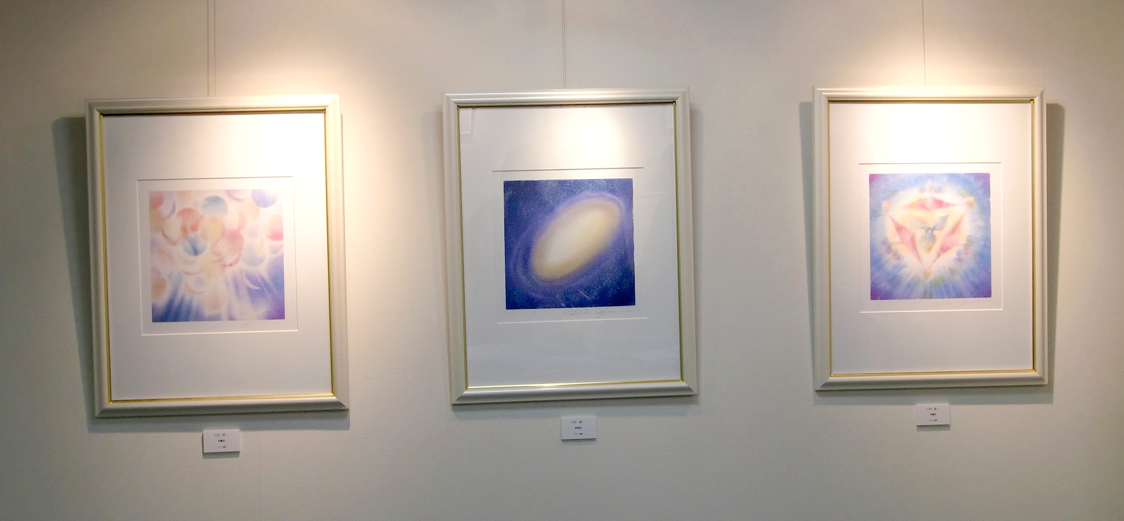 パステルシャインアート2010展ありがとうございました。_f0071893_12425650.jpg
