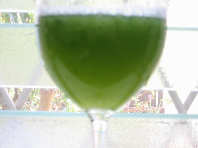 d0040395_1164248.jpg