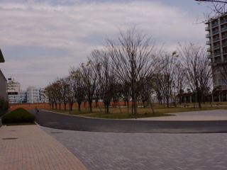a0057402_2094214.jpg