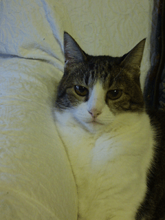 c0129702_22524.gif