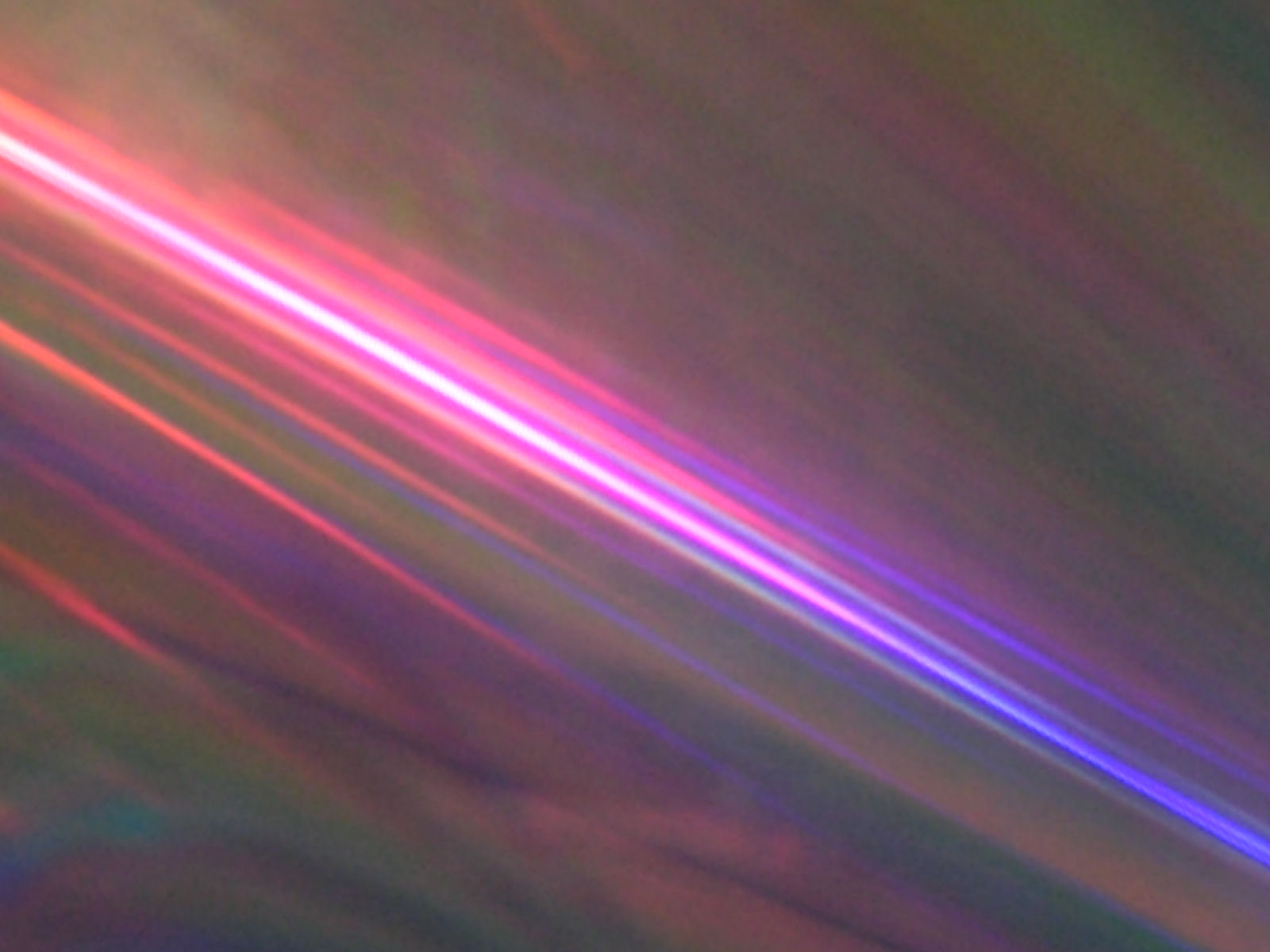 f0146802_13321195.jpg
