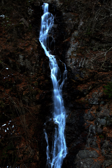 山歩き（三頭山）_e0106803_234306.jpg