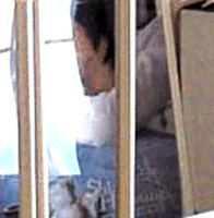 e0103408_12383738.gif