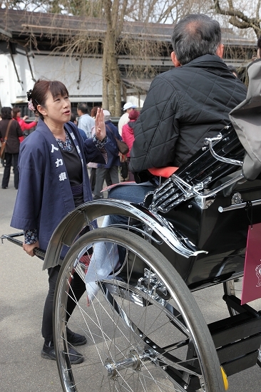 角館・桜は少し早かった_c0200810_21365891.jpg