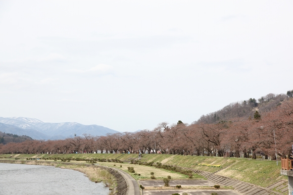 角館・桜は少し早かった_c0200810_21395587.jpg