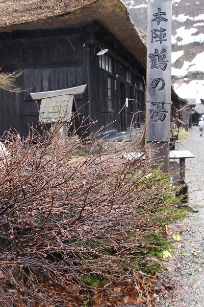 c0200810_23311974.jpg