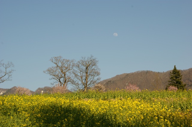 e0139617_171395.jpg