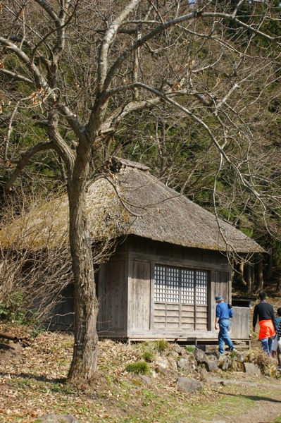 e0139617_17152014.jpg