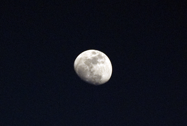 b0188919_20151566.jpg