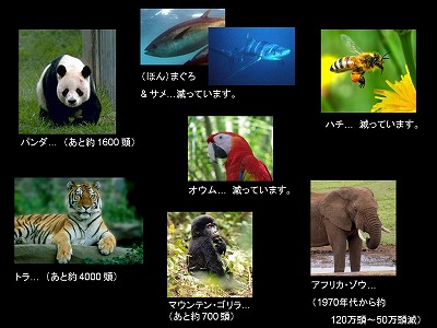生物多様性と私たちのチャンス!/文・ペオ・エクベリ_a0083222_155655.jpg