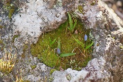 f0170524_9532941.jpg