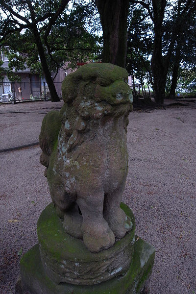 f0007926_1357144.jpg